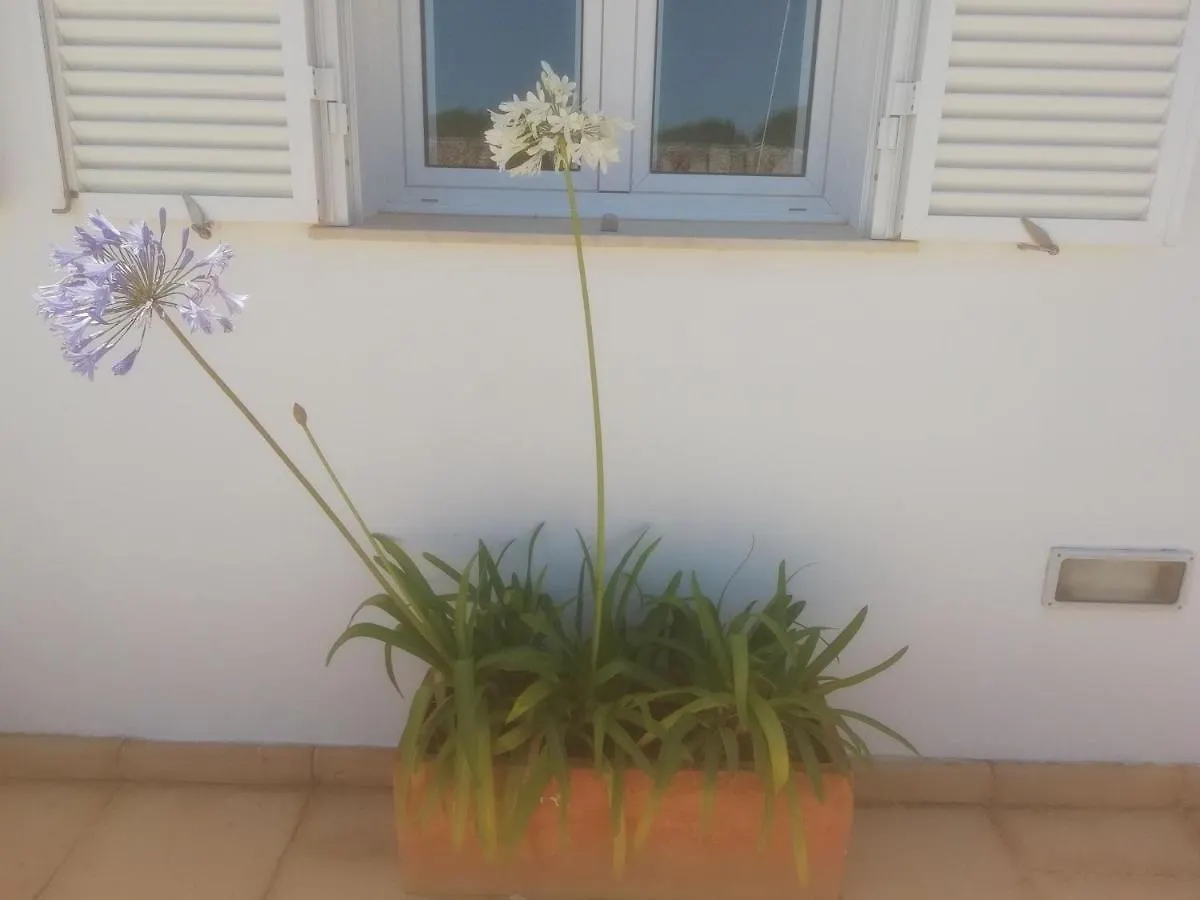 Chalet Abatzer Villa Ciutadella  Spain
